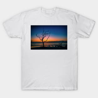 Driftwood Beach Jekyll Island Georgia T-Shirt